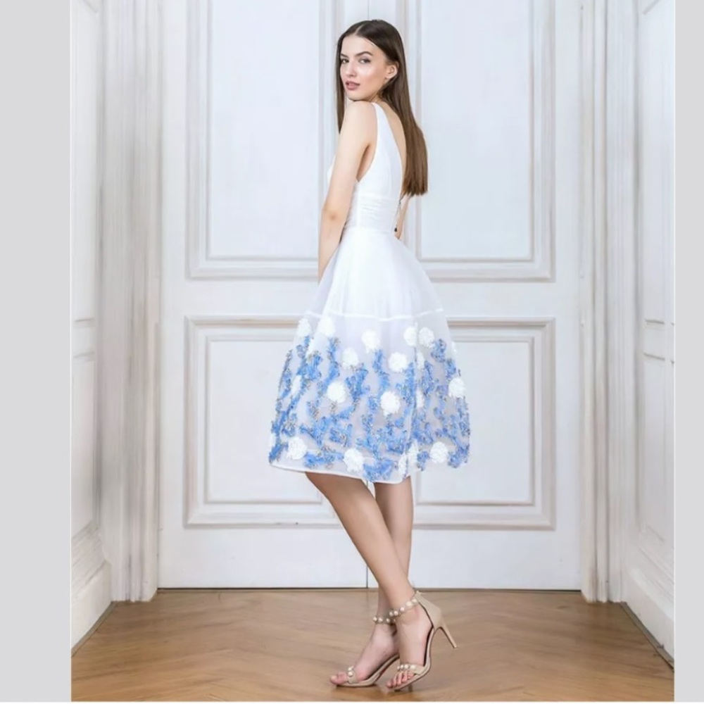Bronx and Banco Malvina embroidered dress